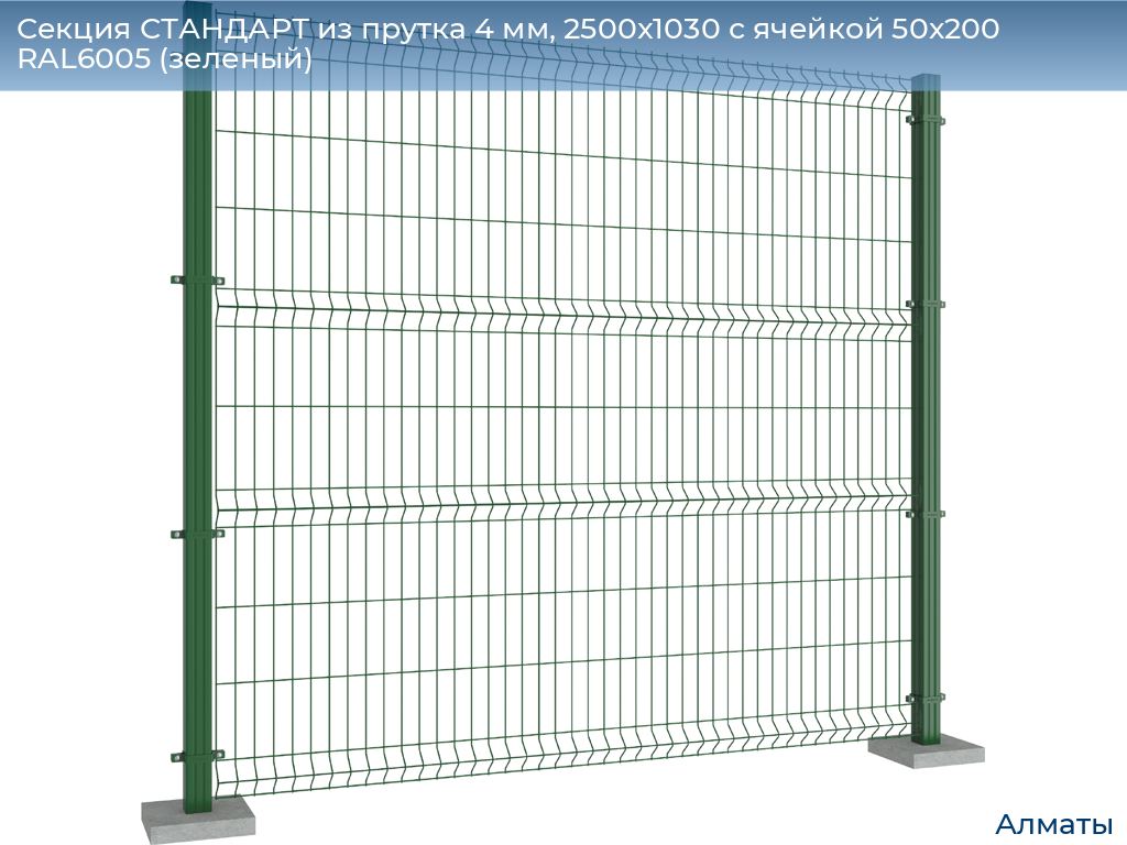 Секция СТАНДАРТ из прутка 4 мм, 2500x1030 с ячейкой 50х200 RAL6005 (зеленый), almatyi.doorhan.ru