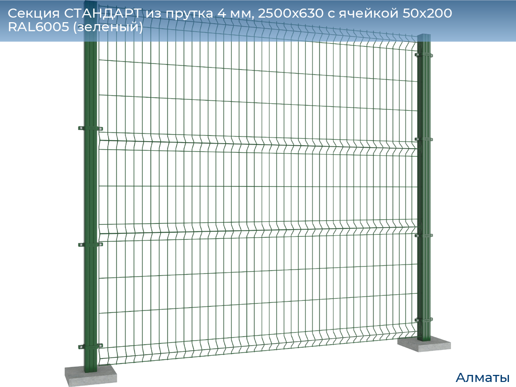 Секция СТАНДАРТ из прутка 4 мм, 2500x630 с ячейкой 50х200 RAL6005 (зеленый), almatyi.doorhan.ru