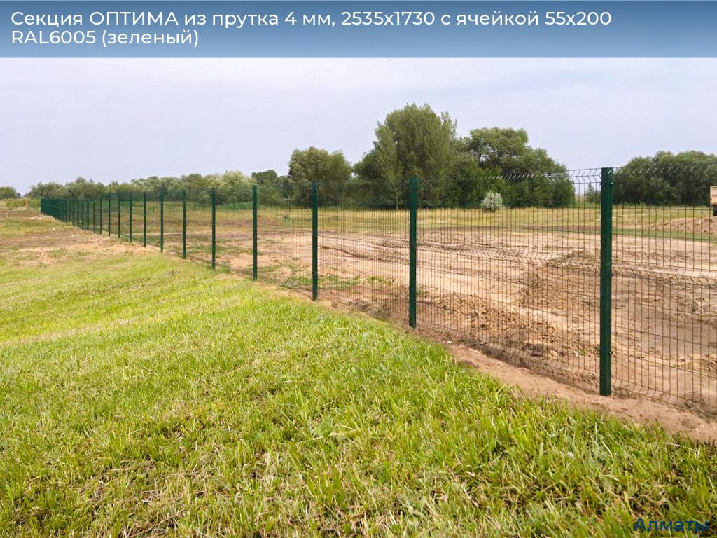 Секция ОПТИМА из прутка 4 мм, 2535x1730 с ячейкой 55х200 RAL6005 (зеленый), almatyi.doorhan.ru