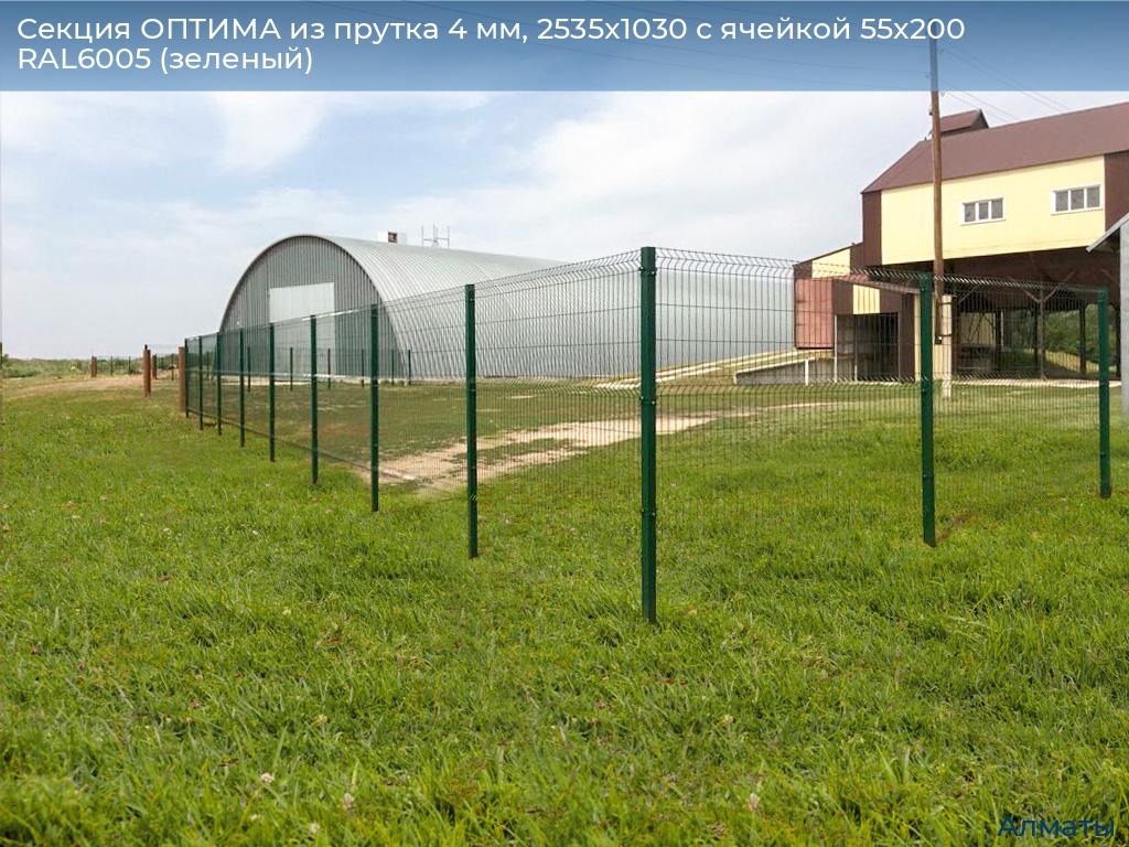 Секция ОПТИМА из прутка 4 мм, 2535x1030 с ячейкой 55х200 RAL6005 (зеленый), almatyi.doorhan.ru