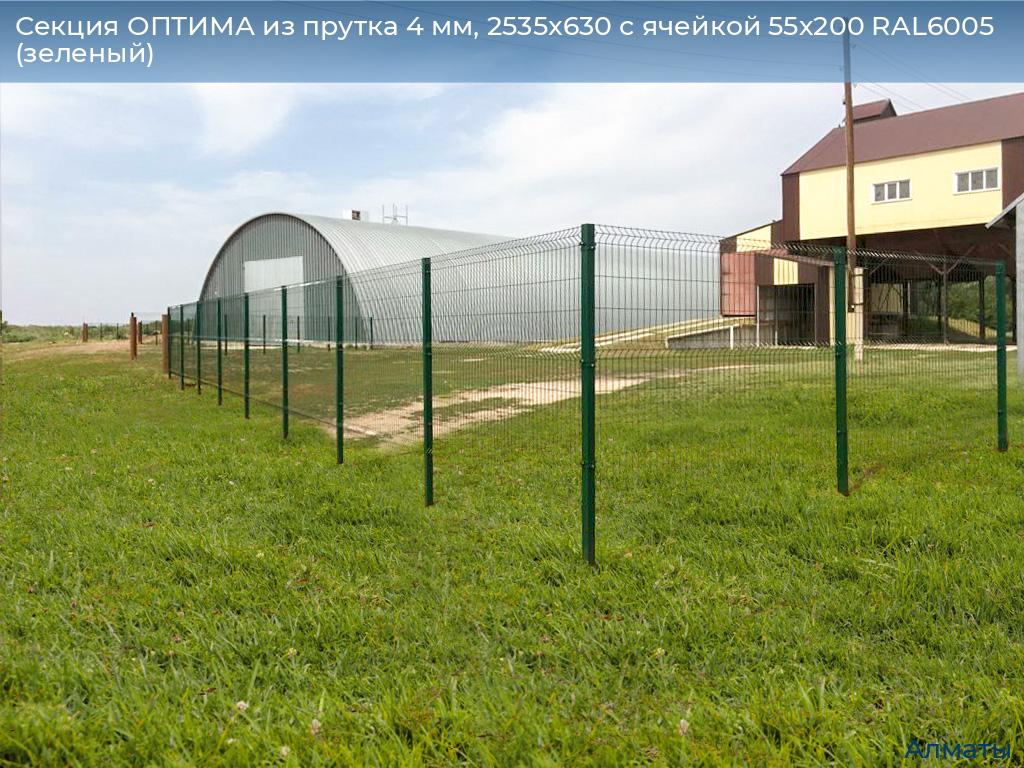 Секция ОПТИМА из прутка 4 мм, 2535x630 с ячейкой 55х200 RAL6005 (зеленый), almatyi.doorhan.ru