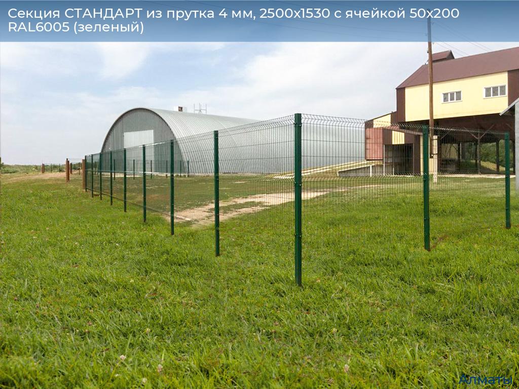 Секция СТАНДАРТ из прутка 4 мм, 2500x1530 с ячейкой 50х200 RAL6005 (зеленый), almatyi.doorhan.ru