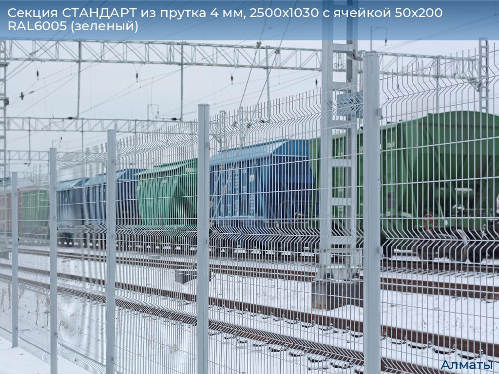Секция СТАНДАРТ из прутка 4 мм, 2500x1030 с ячейкой 50х200 RAL6005 (зеленый), almatyi.doorhan.ru