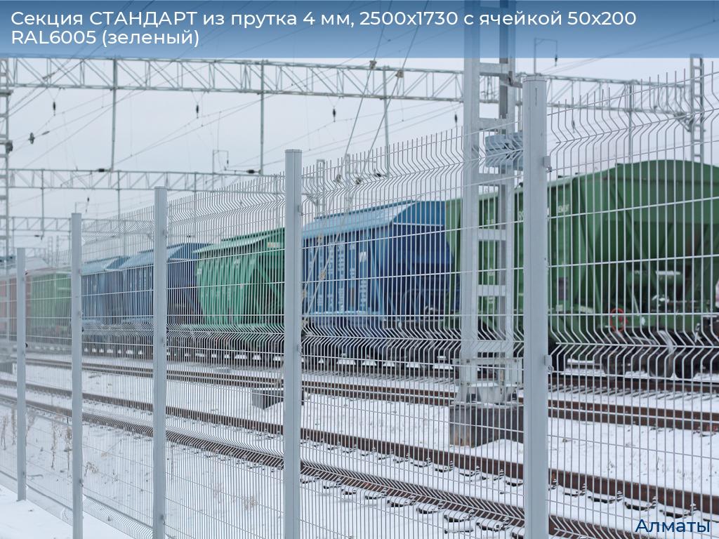 Секция СТАНДАРТ из прутка 4 мм, 2500x1730 с ячейкой 50х200 RAL6005 (зеленый) , almatyi.doorhan.ru